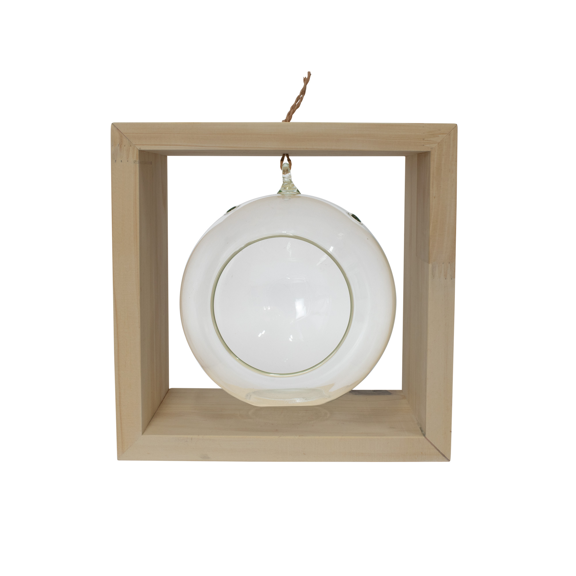 Terrario-pequeño-dimihome blank