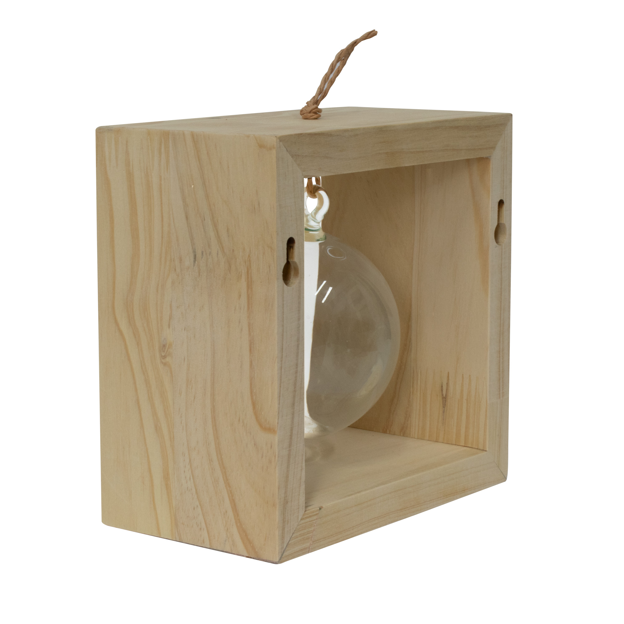 terrario-p1-dimihome blank