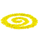 Gravilla PCR (25 kg) - Image 2