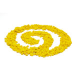 Gravilla Plus (12.5 kg) - Image 3