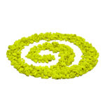 Gravilla Plus (12.5 kg) - Image 2