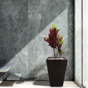 Jardineria Jardineria